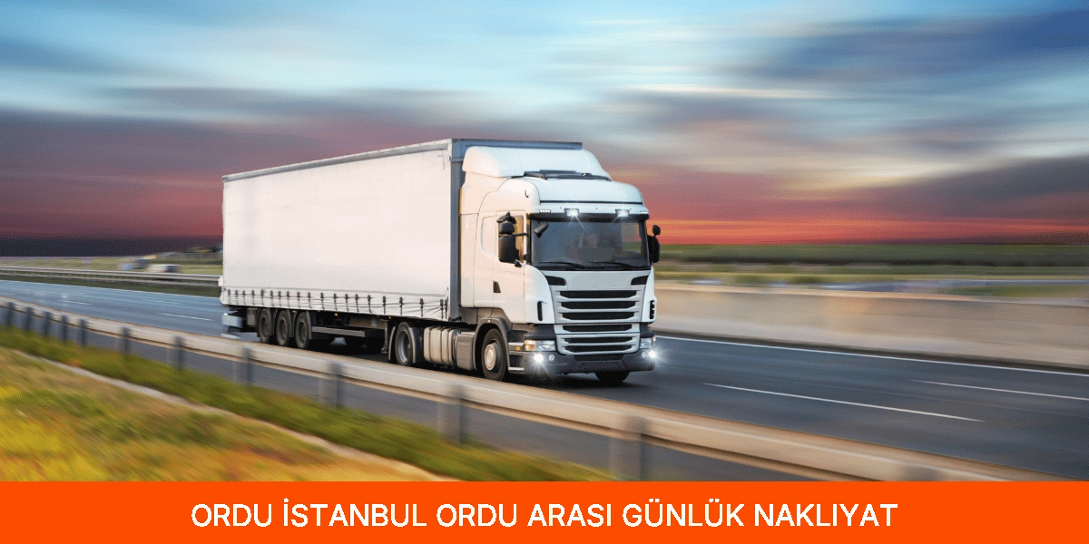 İstanbul Ordu Arası Günlük Nakliyat