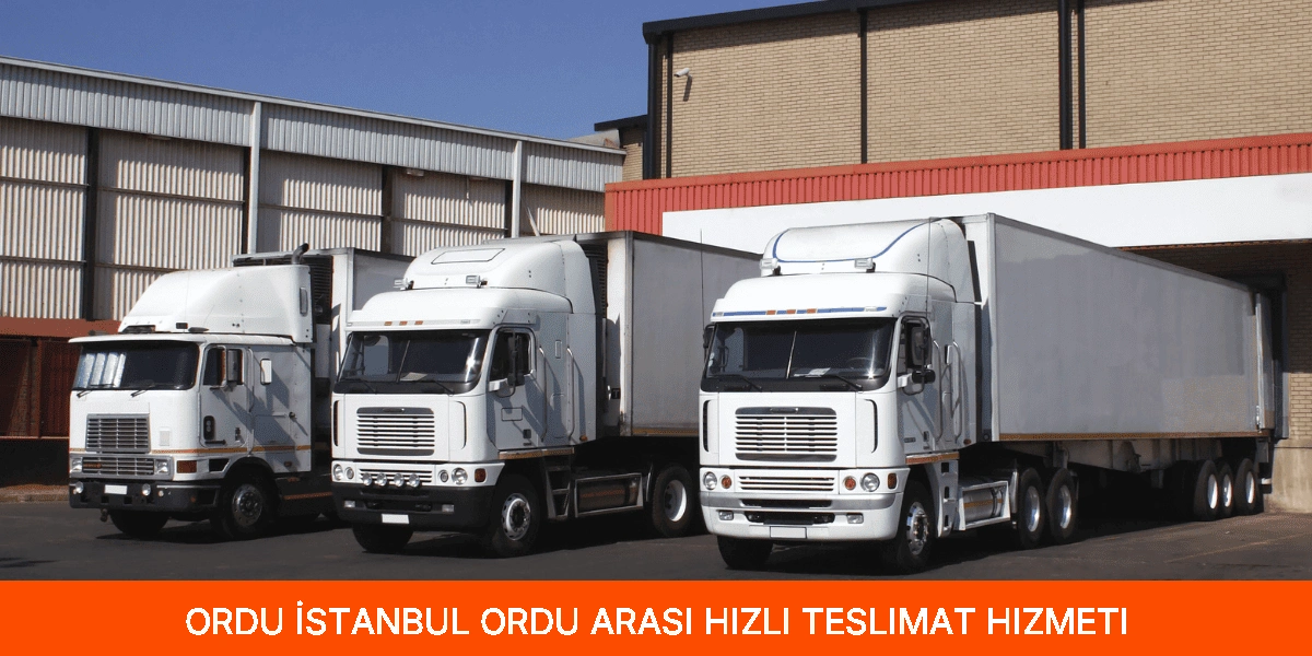 İstanbul Ordu Arası Hızlı Teslimat Hizmeti