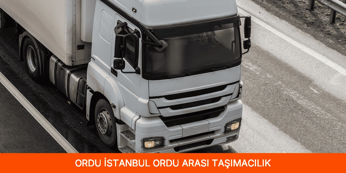 İstanbul Ordu Arası Taşımacılık
