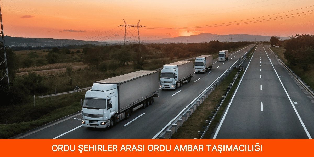 Şehirler Arası Ordu Ambar Taşımacılığı