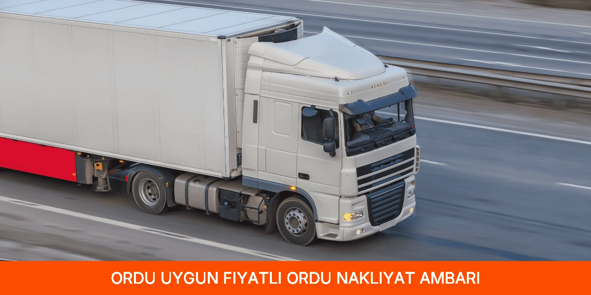 Uygun Fiyatlı Ordu Nakliyat Ambarı